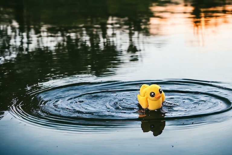 Mini Rubber Duck / 3d Printed Duck