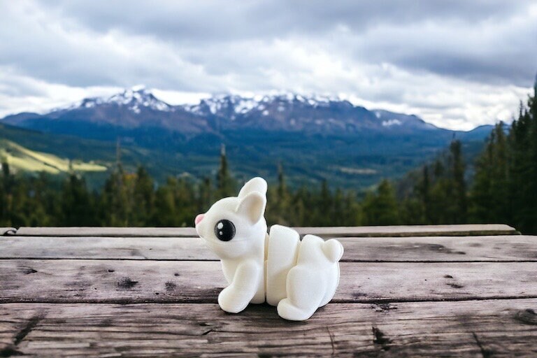 Mini Bunny