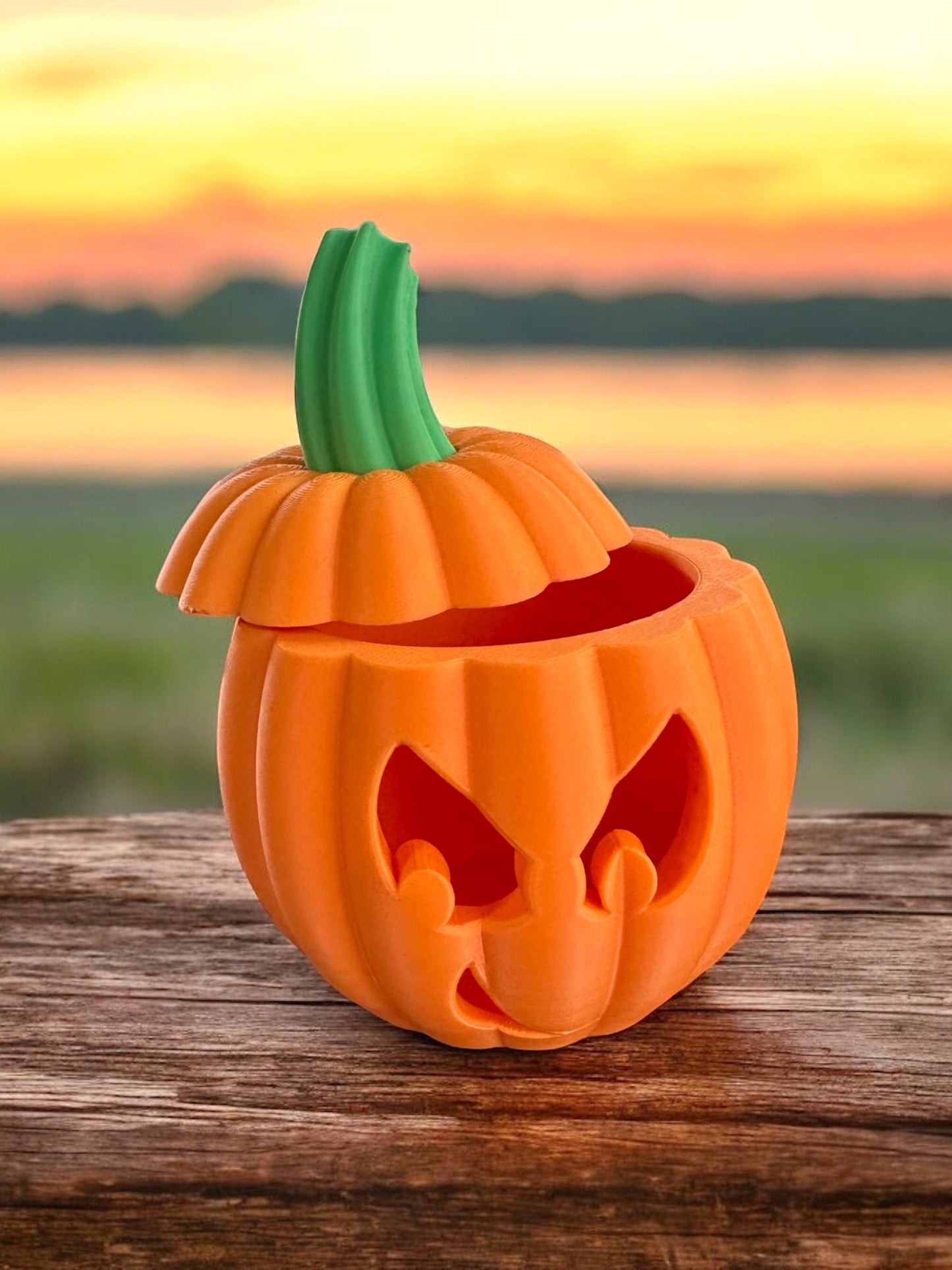 3D Printed Halloween Pumpkin (Set of Two)