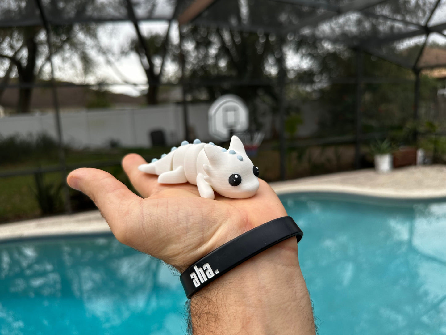 Mini Dragon