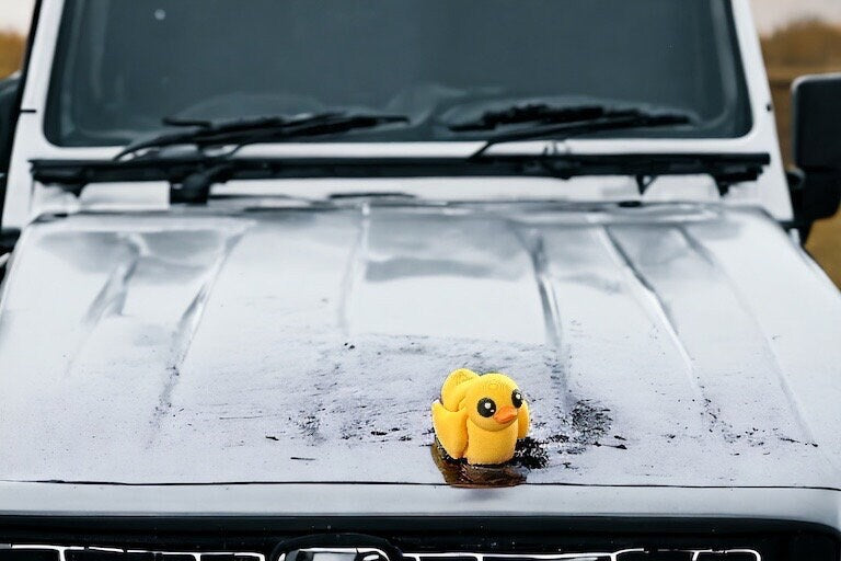 Mini Rubber Duck / 3d Printed Duck
