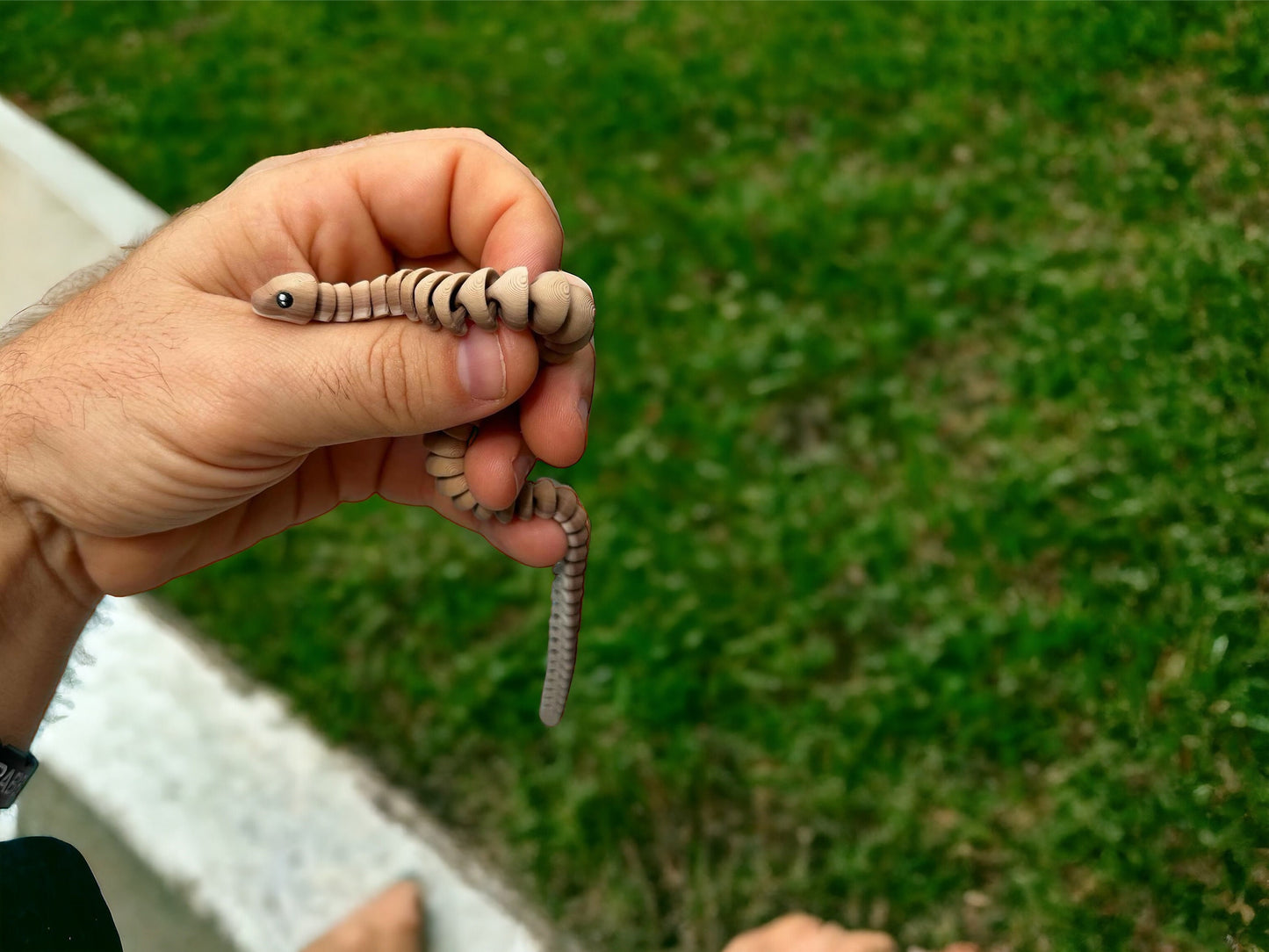 Mini snake