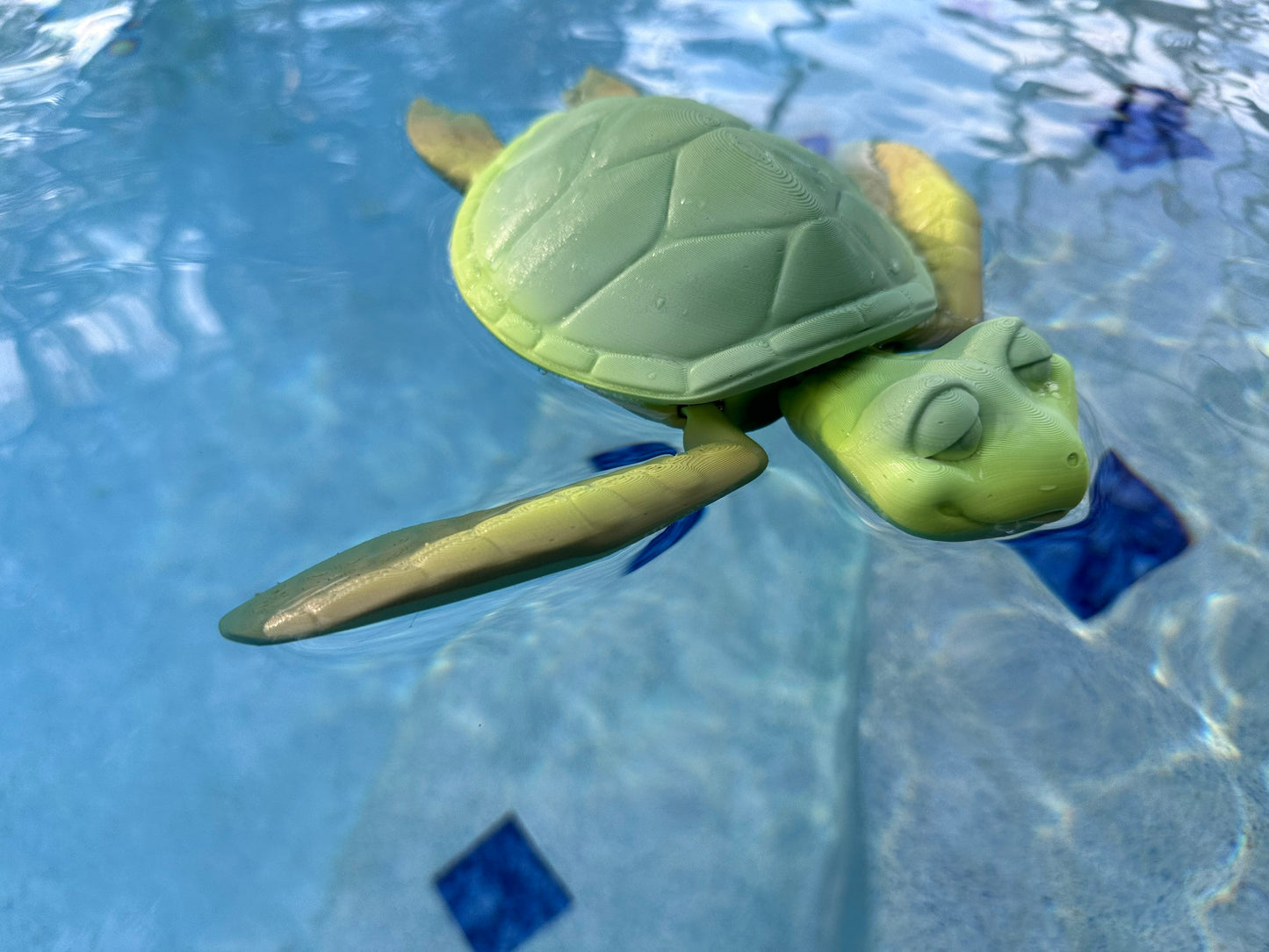 3D Printed Turtle