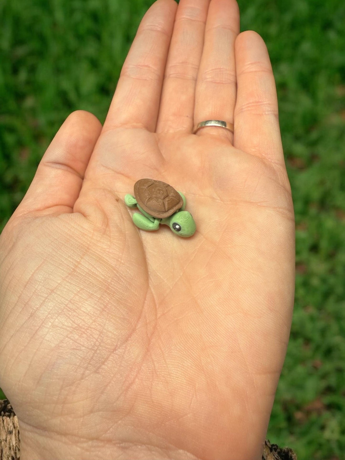 Micro Sea Turtle / 3D Printed Turtle - RJM Customs