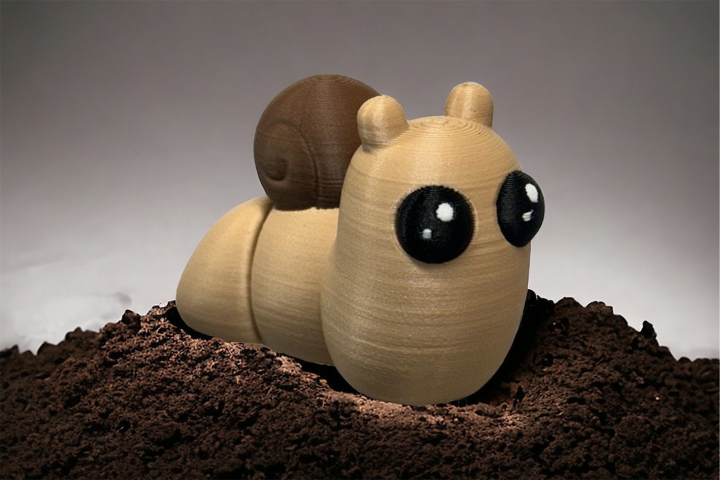 Mini Snail