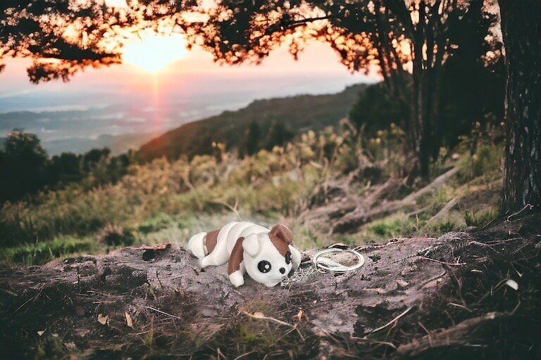 Dog Keychain - RJM Customs