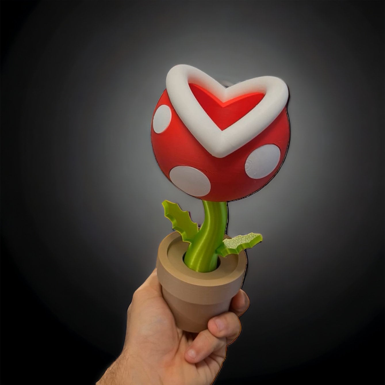 Venus Fly Trap Planter