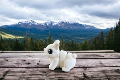 Mini Bunny