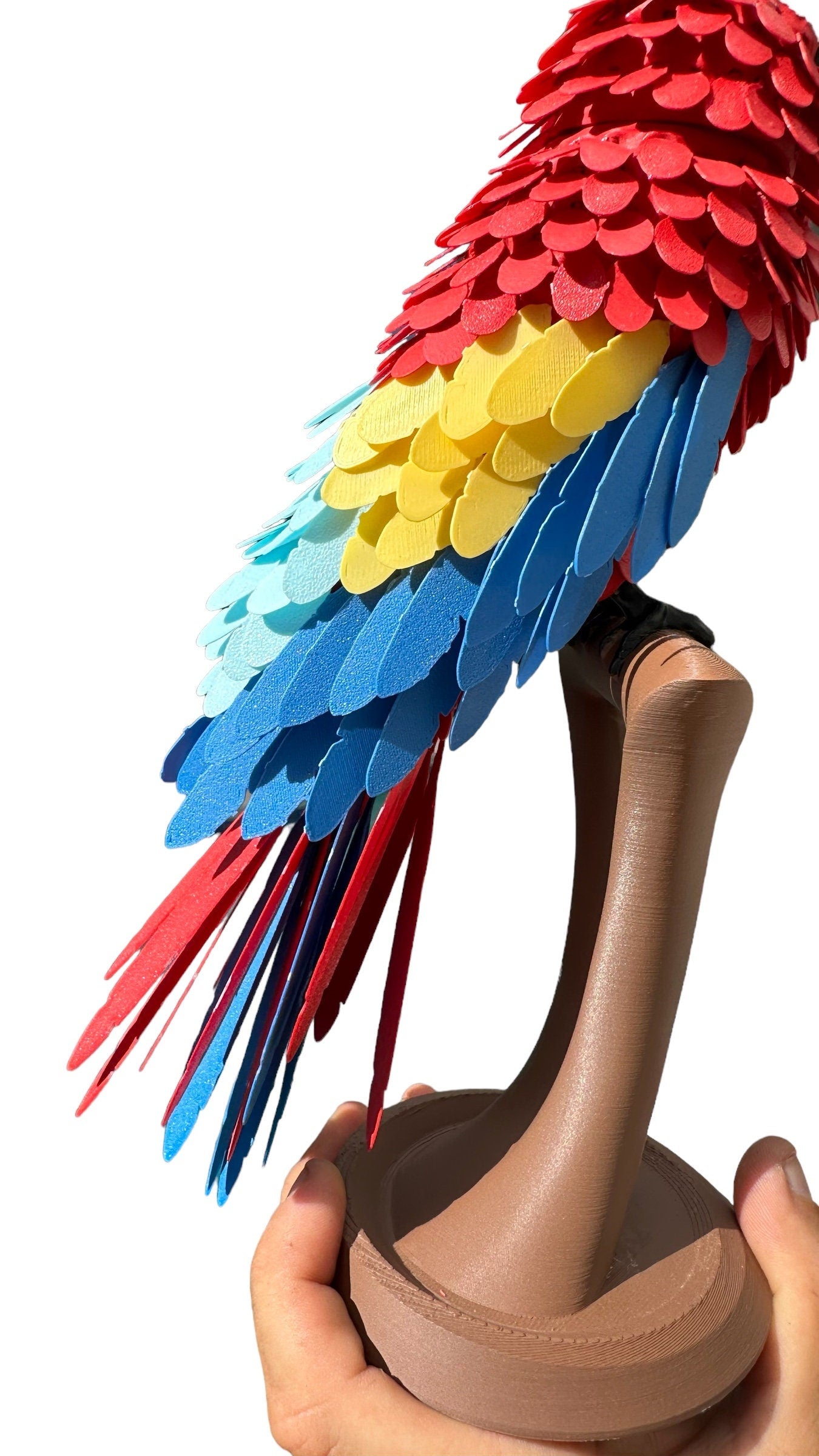 3D Printed Macaw - RJM Customs