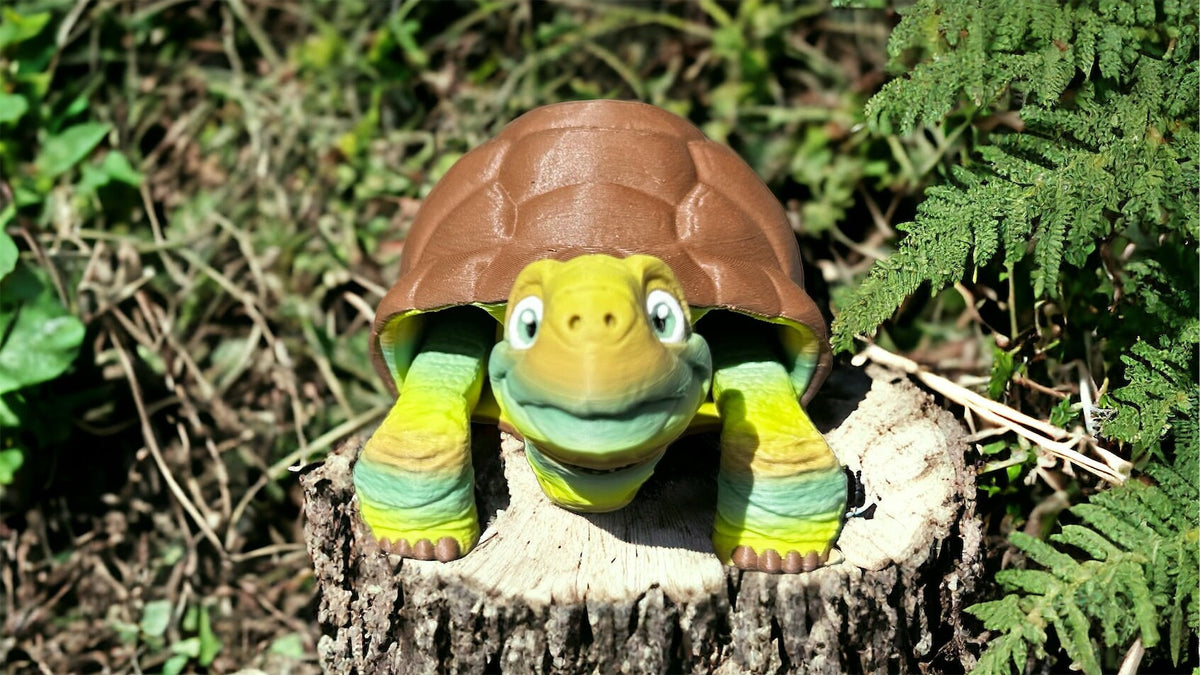 3D Printed Tortoise - RJM Customs