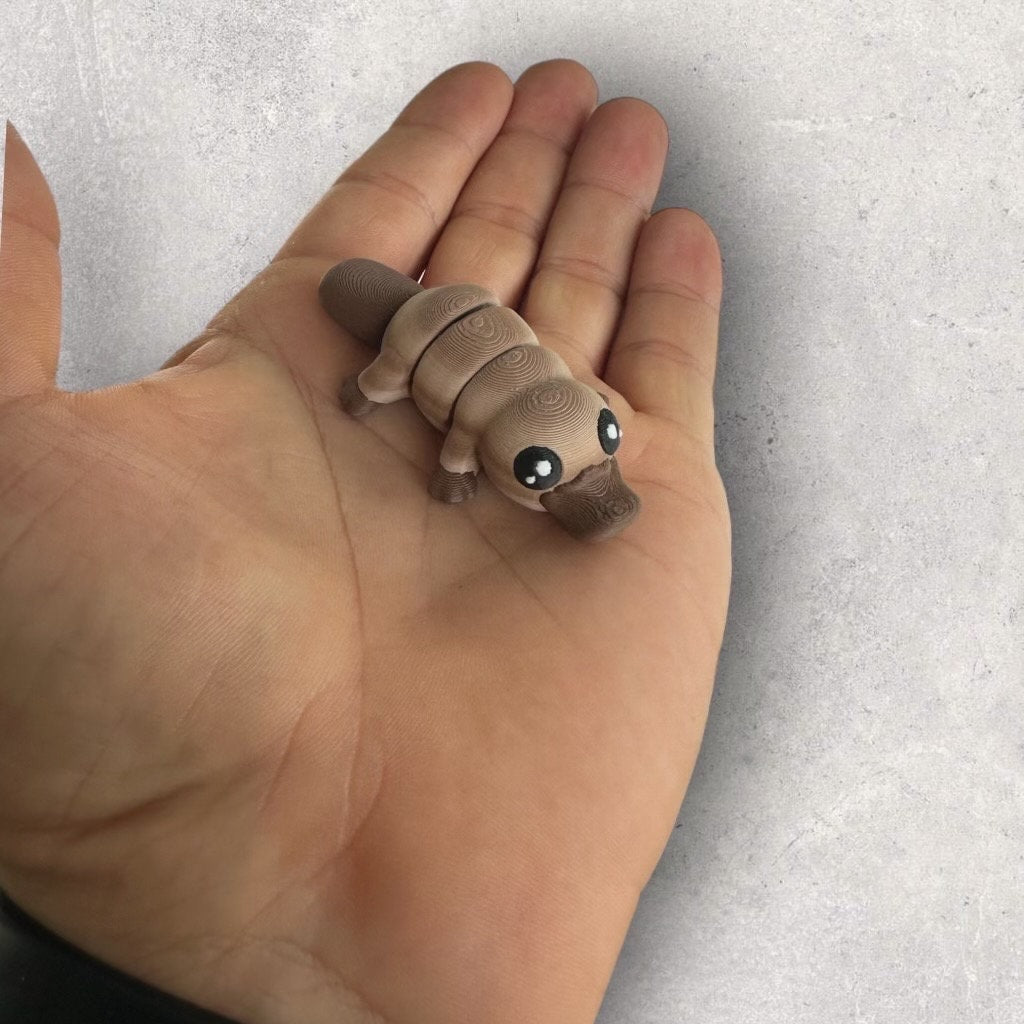 Mini Platypus