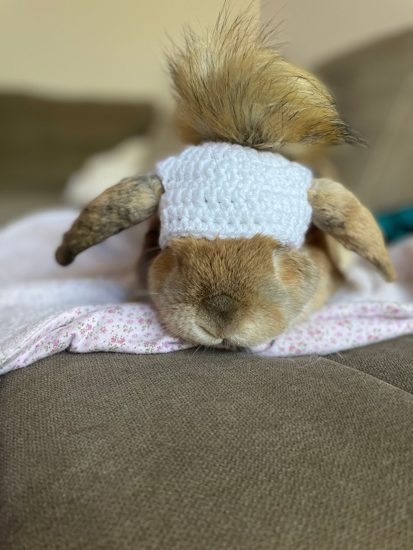 Crochet PomPom Beanie for Bunnies - RJM Customs