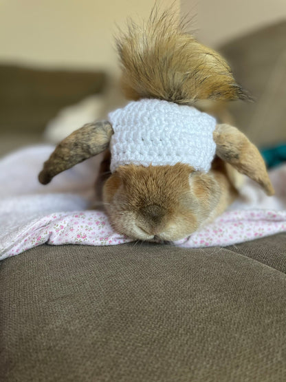 Crochet PomPom Beanie for Bunnies - RJM Customs