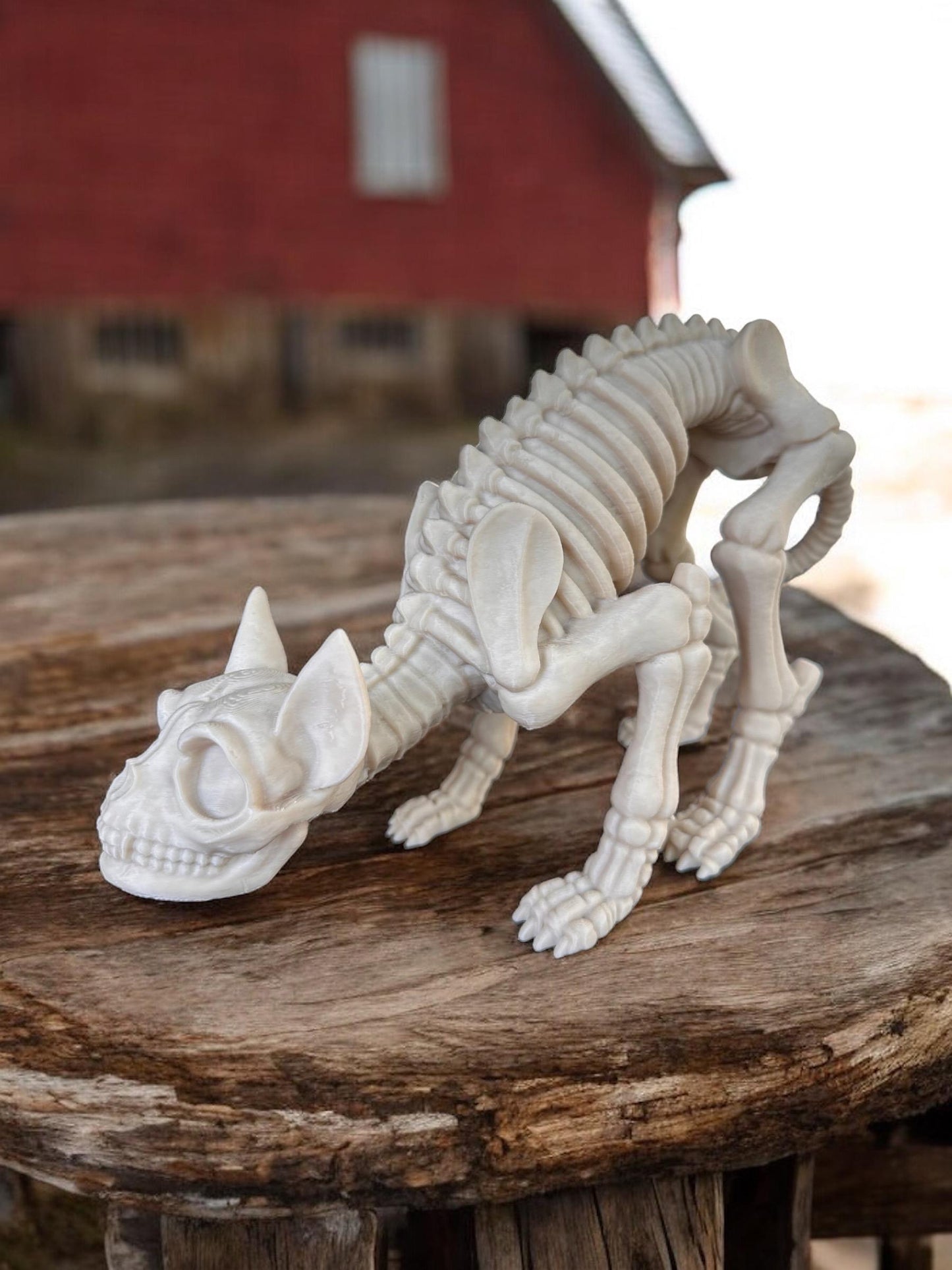 3d printed Skeleton Cat