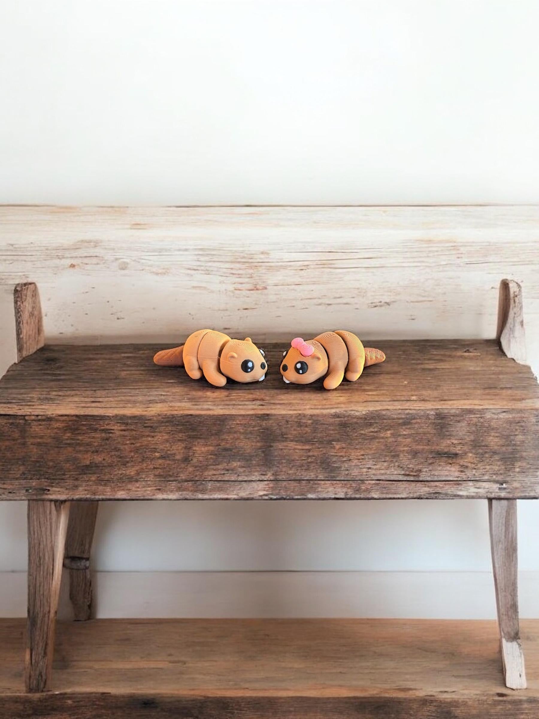 Mini Beaver duo / 3d printed Beaver - RJM Customs