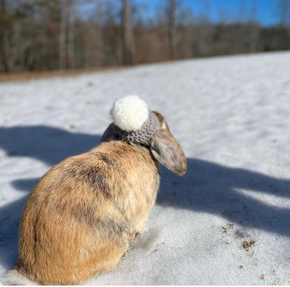 Crochet PomPom Beanie for Bunnies - RJM Customs