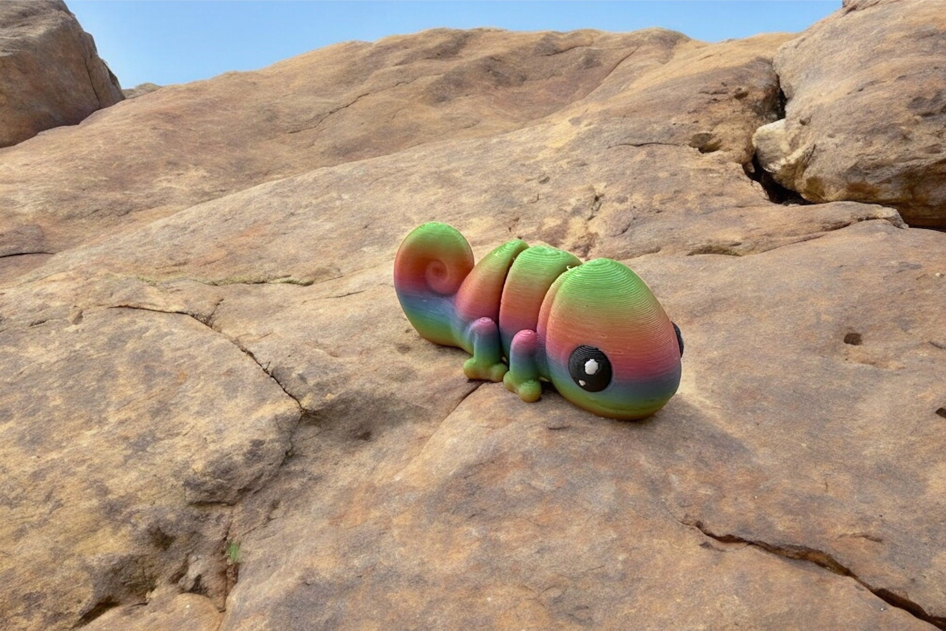 Baby Chameleon - RJM Customs
