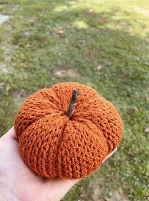 Knit Pumpkin / Fall decor