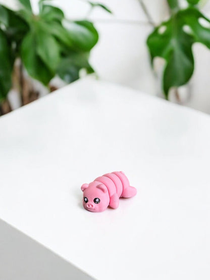 Mini Pig