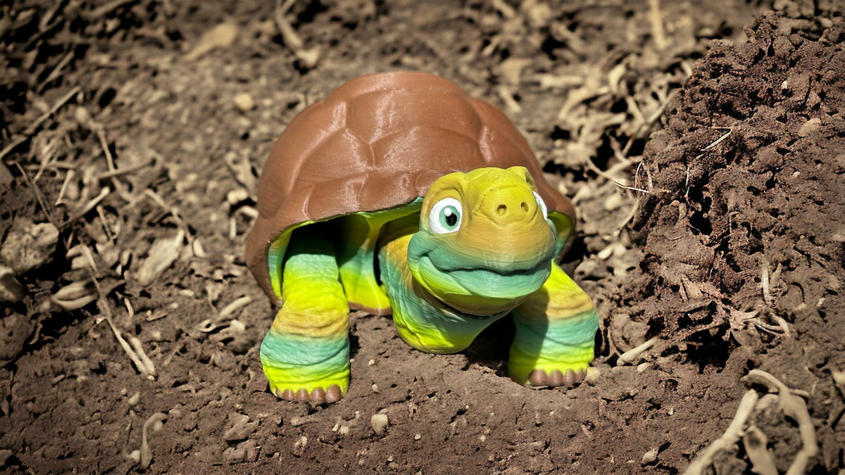 3D Printed Tortoise - RJM Customs