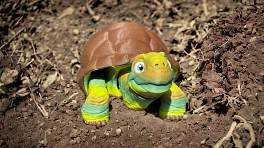 3D Printed Tortoise - RJM Customs