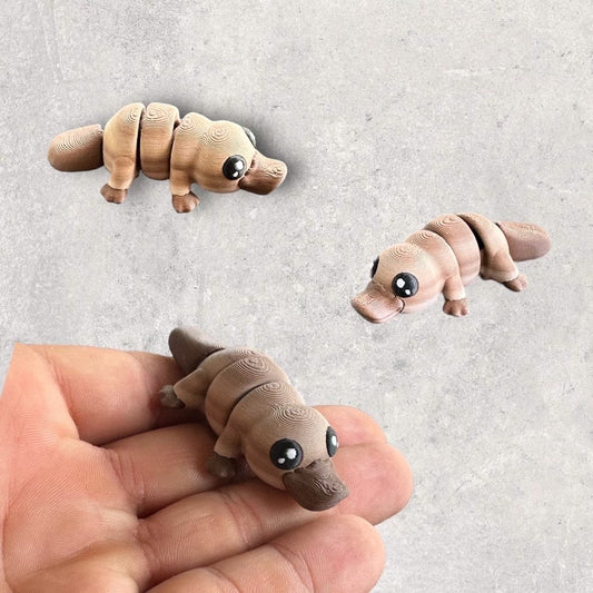 Mini Platypus