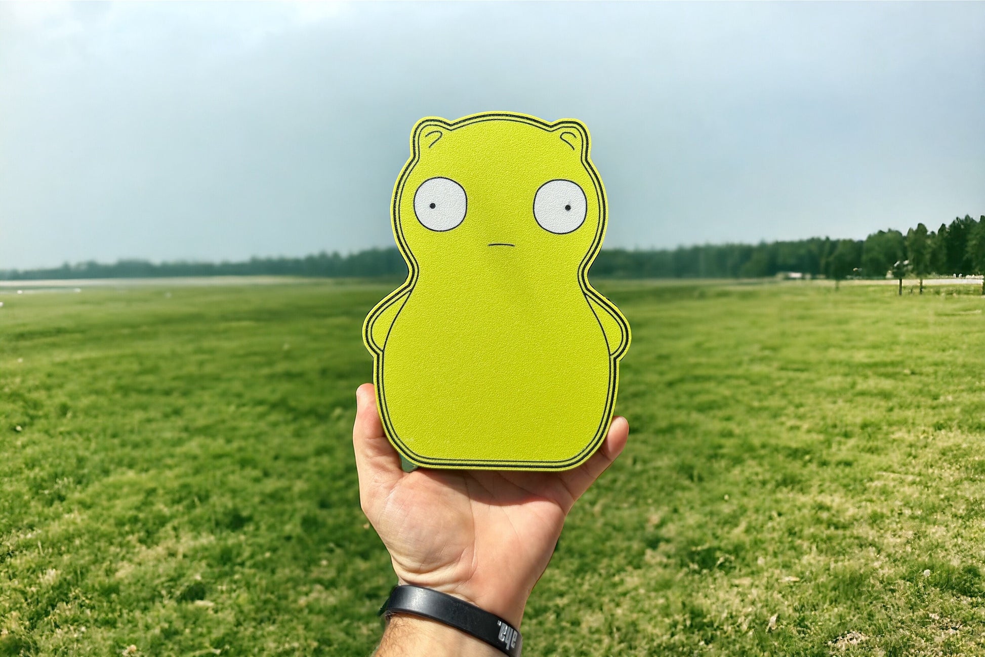 Kuchi Kopi Light Box - RJM Customs