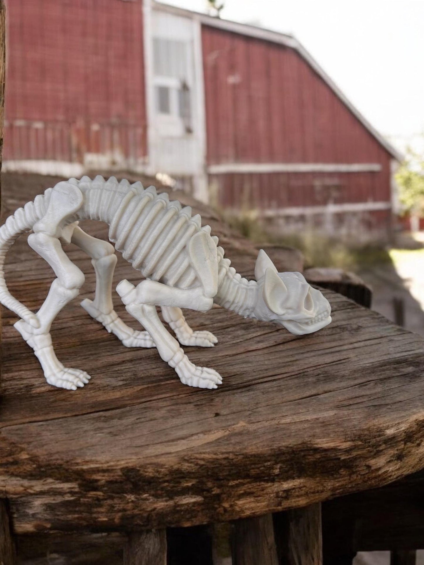 3d printed Skeleton Cat
