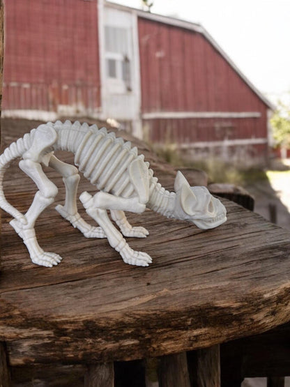3d printed Skeleton Cat