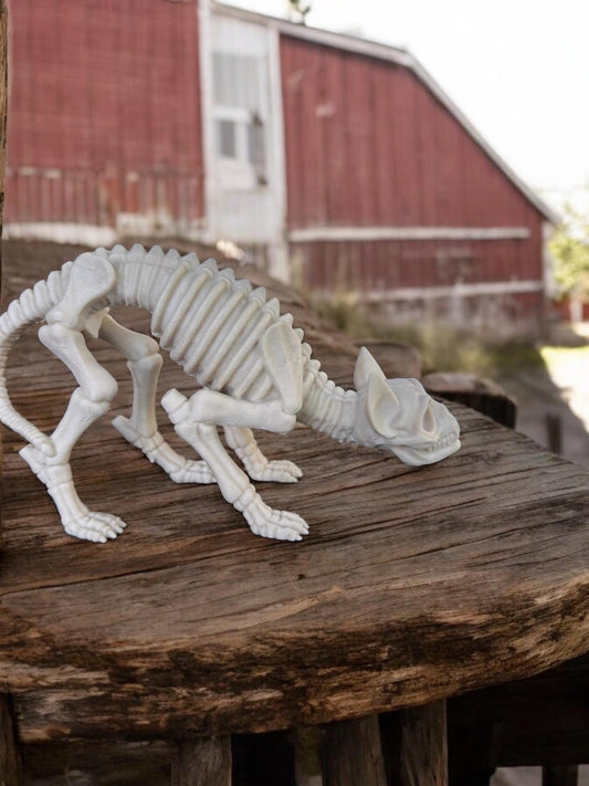 3d printed Skeleton Cat