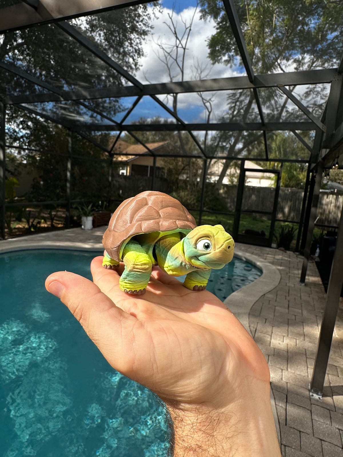 3D Printed Tortoise - RJM Customs
