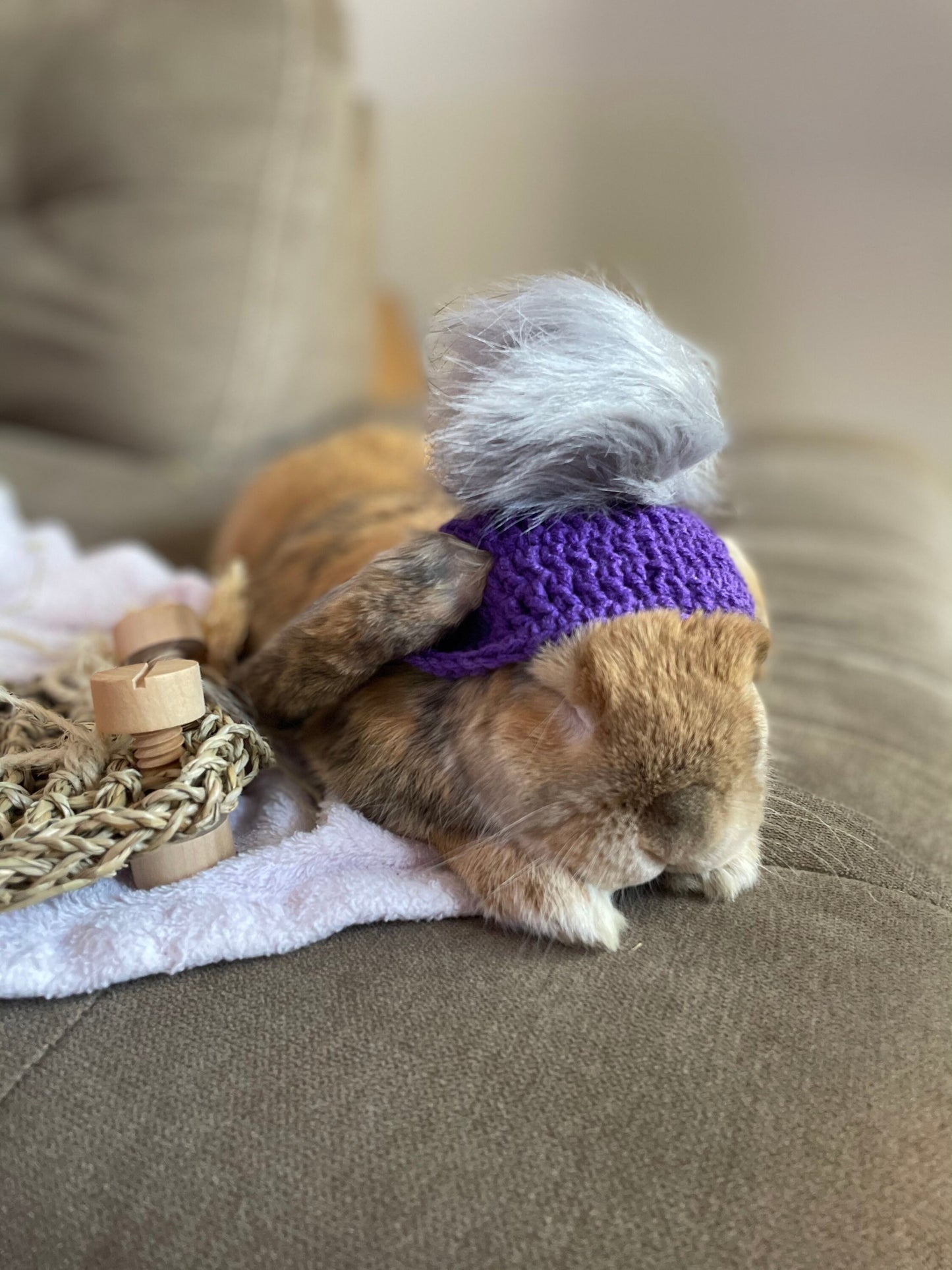 Crochet PomPom Beanie for Bunnies - RJM Customs