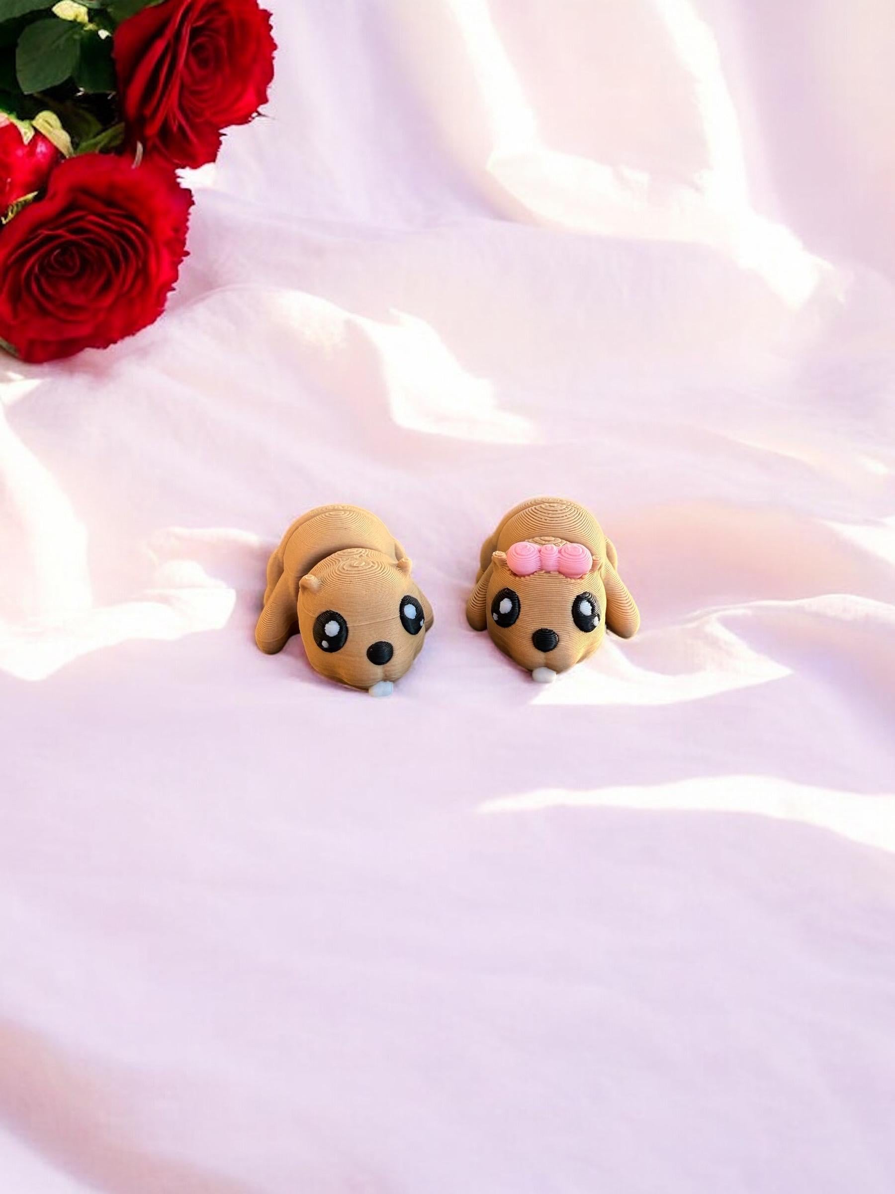 Mini Beaver duo / 3d printed Beaver - RJM Customs