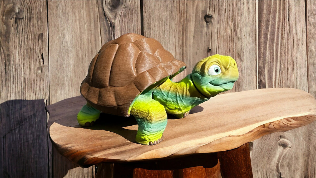 3D Printed Tortoise - RJM Customs