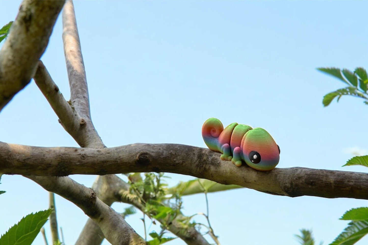 Baby Chameleon - RJM Customs