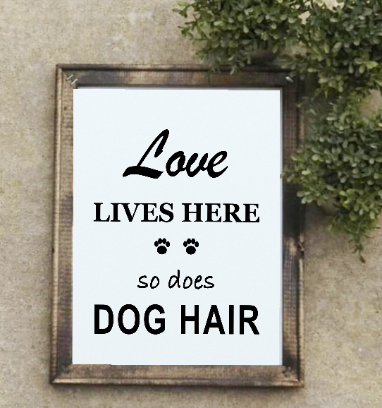 Love Lives Here So Does Dog Hair framed canvas sign styled with greenery